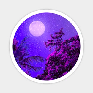 Moonlit Night Magnet